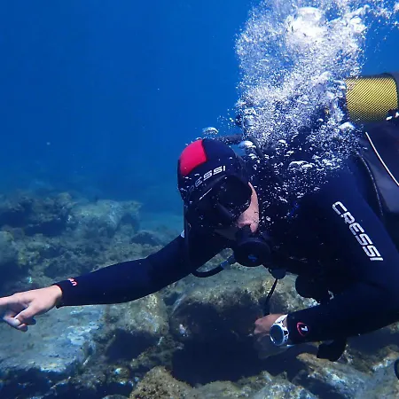אכסניה Dive Ocean Dreams