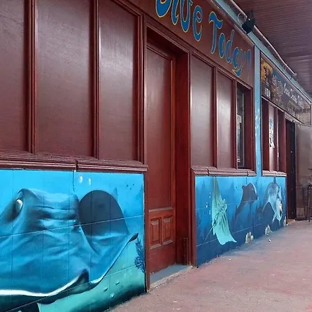 אכסניה Dive Ocean Dreams