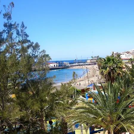 Dive Ocean Dreams Hostal Arona (Tenerife)